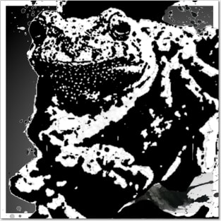 Tree Frog Posters and Art
